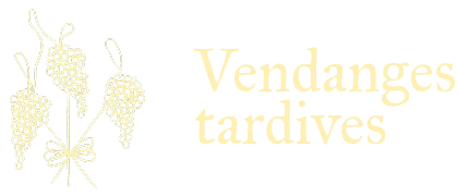 Logo header